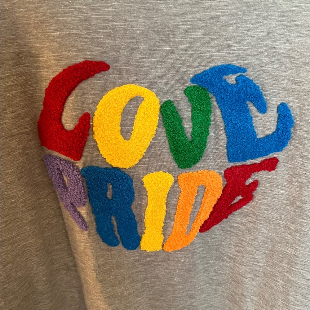 NWT Lane Bryant Chenille Love Pride Graphic Tee - Picture 3 of 7